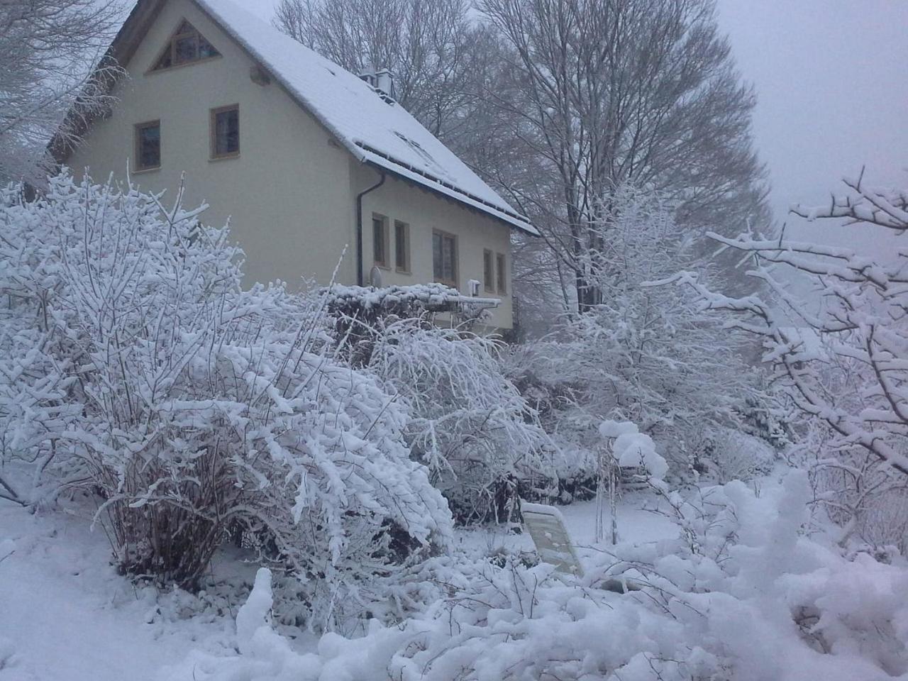 Ferienwohnung Ringbergblick سوهل المظهر الخارجي الصورة